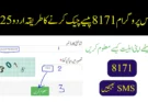 احساس پروگرام 8171 پیسے چیک کرنے کا طریقہ اردو 2025