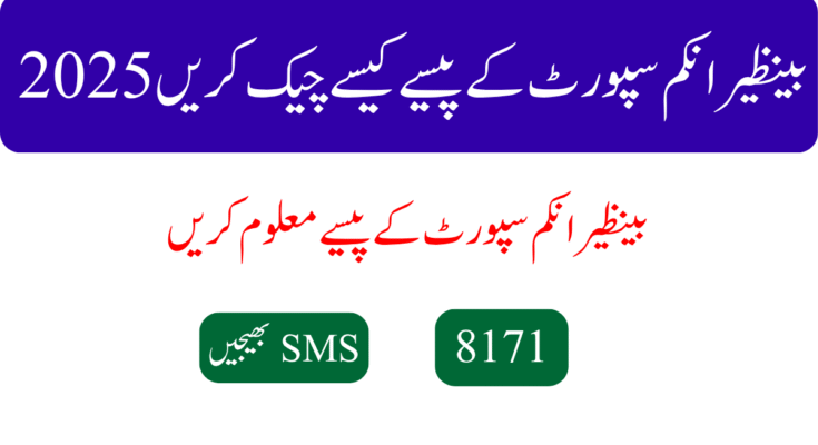 بینظیر انکم سپورٹ کے پیسے کیسے چیک کریں
